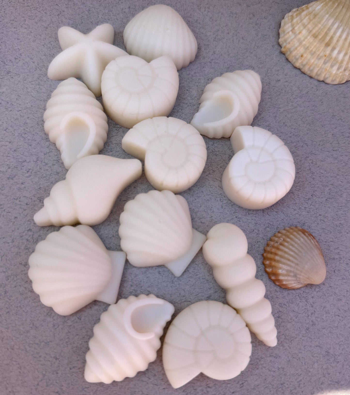 Fondants Parfumés – Forme Coquillage – Faits Main avec Amour, Sans CMR ni Phtalates (60g)