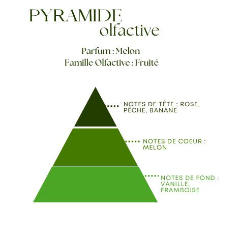 Bougie Parfumée Melon – Pot Blanc avec ou sans couvercle – 200g