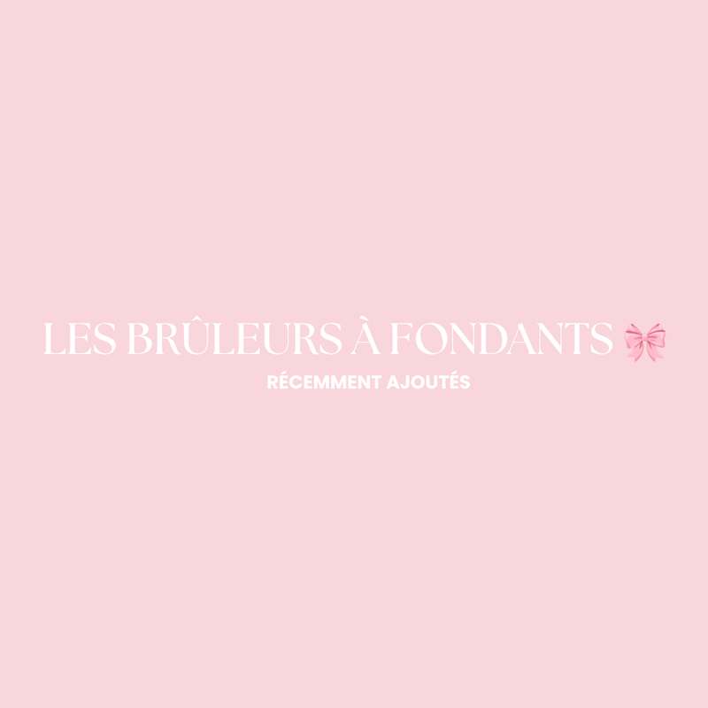 LES BRÛLEURS À FONDANTS