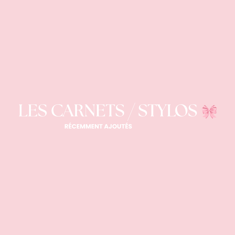 LES CARNETS / LES STYLOS