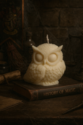 Bougie Hibou Enchanté – Collection inspirée d’Harry Potter
