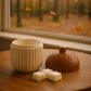 Brûleur Gland – L’Essence Parfumée de la Forêt d’Automne | PRÉCOMMANDE