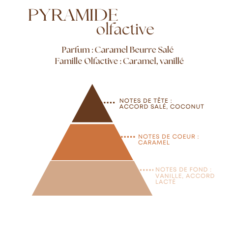 Diffuseur à Tiges - Senteur Caramel Beurre Salé - 100ml - Sans Alcool