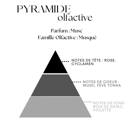 Diffuseur à Tiges - Senteur Musc - 100ml - Sans Alcool