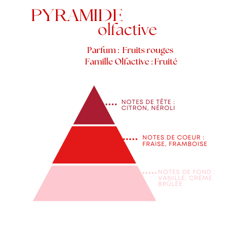 Diffuseur à voiture - Senteur Fruits rouges - 8ml - Sans Alcool