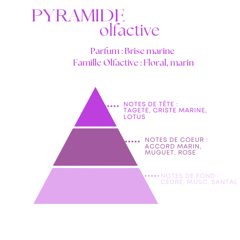 Bougie Parfumée Brise Marine – Pot Irisé aux Reflets – 200g