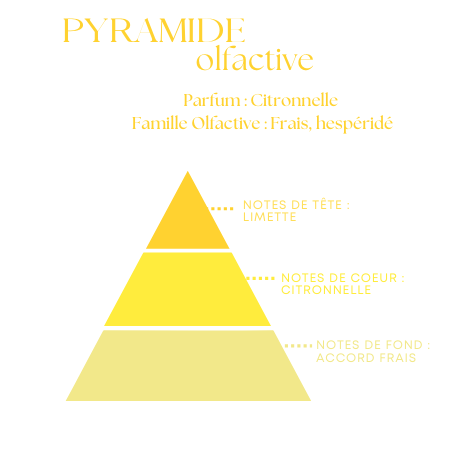 Bougie Parfumée Citronnelle – Pot en Verre Givré avec ou sans couvercle – 120g