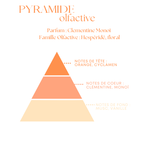 Bougie Parfumée Clémentine Monoï – Pot Blanc avec ou sans couvercle – 200g