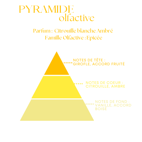 Bougie Parfumée Citrouille Blanche Ambré – Pot Ambré –  100g ou 200g