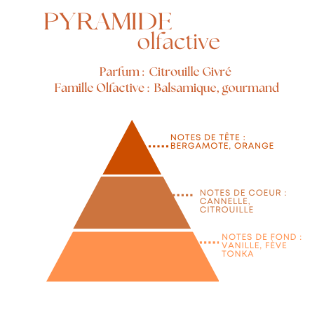 Fondants Parfumés en Carrés à Couper – Citrouille givré –  (80g)