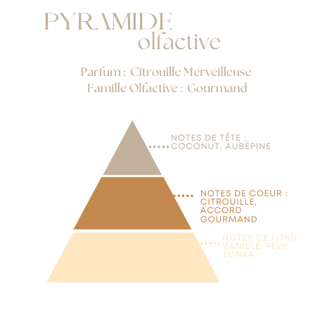 Fondants Parfumés en Carrés à Couper – Citrouille Merveilleuse –  (80g)