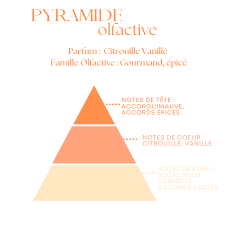 Fondants Parfumés en Carrés à Couper – Citrouille vanillé –  (80g)