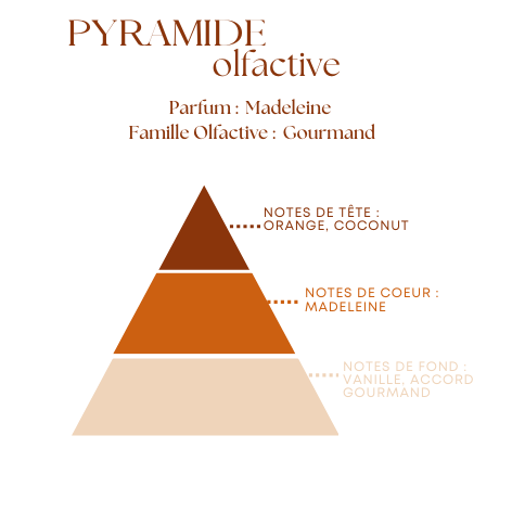 Bougie Parfumée Madeleine  – Pot Ambré –  100g ou 200g