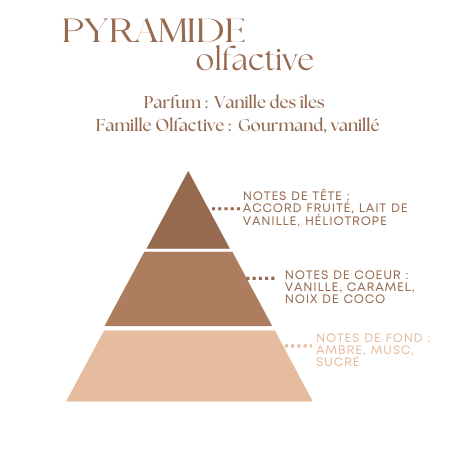Bougie Parfumée Vanille des îles  – Pot Ambré –  100g ou 200g
