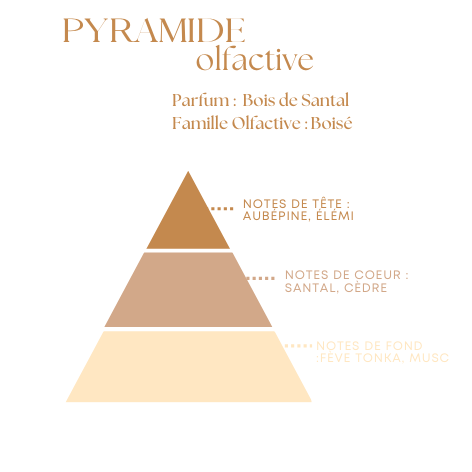 Bougie Parfumée Bois de Santal – Pot Ambré– 200g